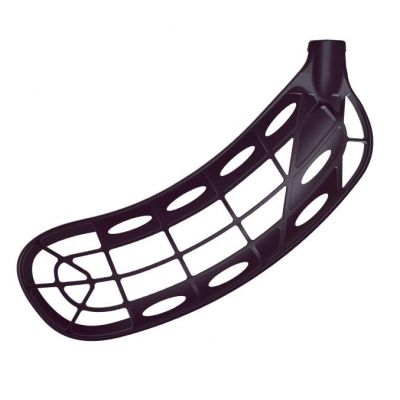 FatPipe