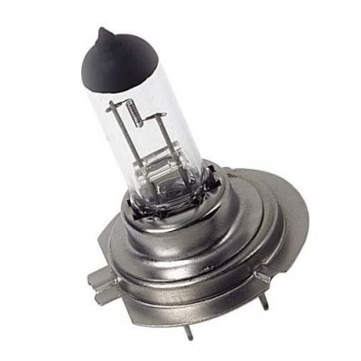 LAMPA