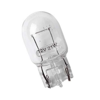 LAMPA
