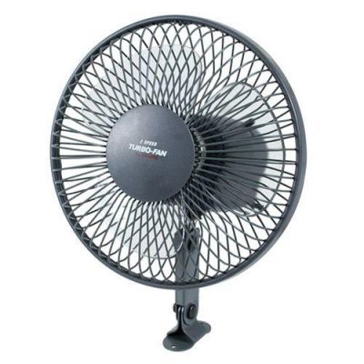 Lampa